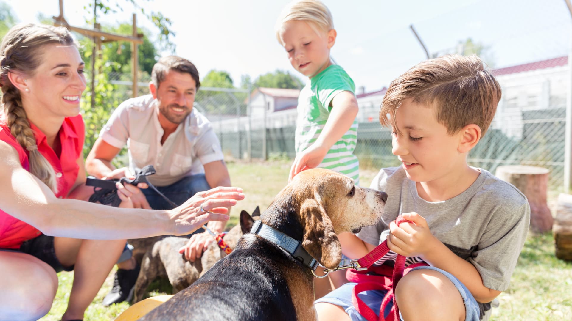 Family playing with dog