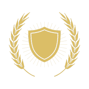 Shield icon